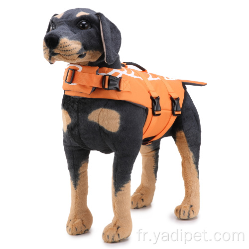 Maillot de bain sauveteur pour chien